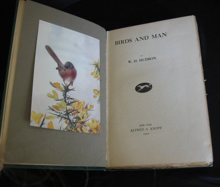 Image for Birds and Man.